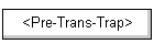 <Pre-Trans-Trap>